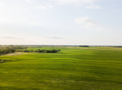 从鸟瞰图上看，一片绿色的大麦田和另一种谷物在春季栽培。农田。