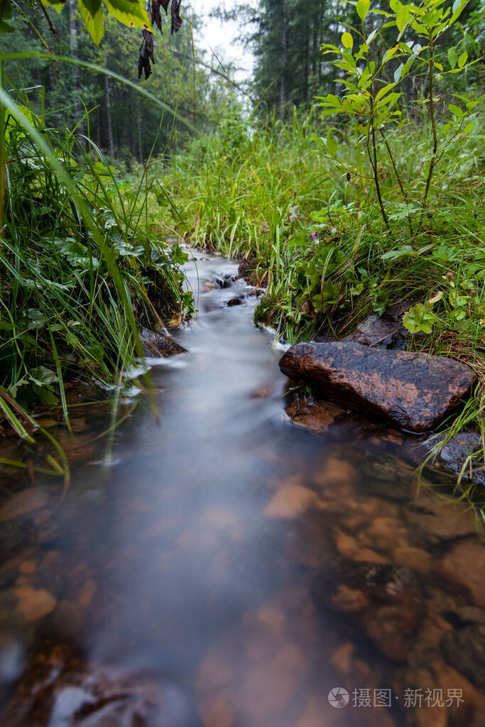 清澈的小溪穿过夏季森林