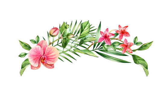 橙色的花和植物图片-橙色的花和植物素材-橙色的花和植物插画-摄图新