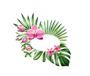 水彩花卉横幅。带文本位置的椭圆形框架。粉红色的兰花和棕榈叶。手绘热带背景标志和卡片。白色植物插图