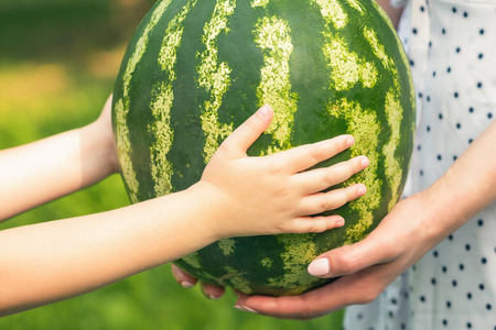 美丽的 小孩 自然 西瓜 收获 植物 健康 甜瓜 母亲 水果