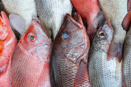 美味的 泰国 食物 生的 动物 市场 营养 钓鱼 抓住 渔夫