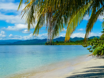 海滩 海景 植被 天空 自然 美丽的 加勒比 海岸 夏天