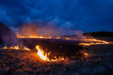 农田 环境 土地 损害 灌木 天空 植物 生态学 热的 燃烧