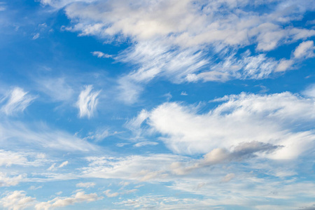 毛茸茸的 天空 天气 空气 风景 自然 环境 美丽的 墙纸