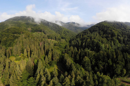 小山 森林 夏天 旅行 丘陵 风景 山谷 天空 旅游业 乡村