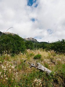 阿根廷 环境 风景 小山 观光 森林 冒险 美丽的 日志