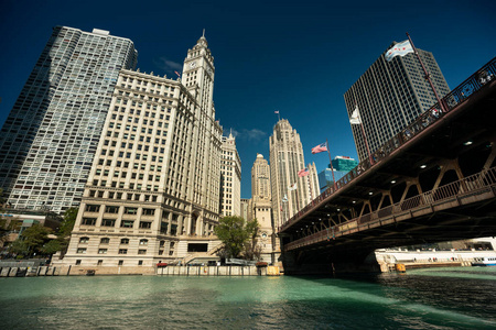 码头 市中心 摩天大楼 城市 旅游业 天际线 海滨 芝加哥