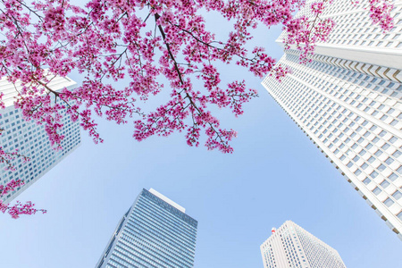 玻璃 天空 市中心 粉红色 外观 金属 技术 城市景观 商业