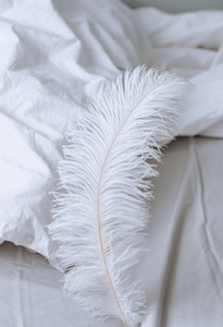 床上的大白羽。