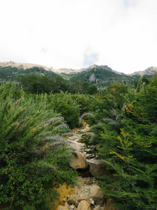 旅游业 阿根廷 巴塔哥尼亚 夏天 岩石 观光 山谷 自然