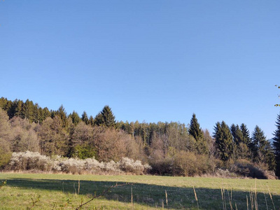 风景 公园 日出 自然 天空 美女 旅行 秋天 领域 草坪