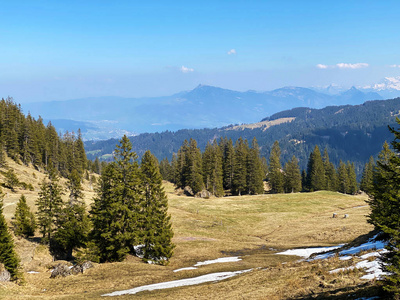 牧场 农业 土地 徒步旅行 小山 领域 旅游业 夏天 森林