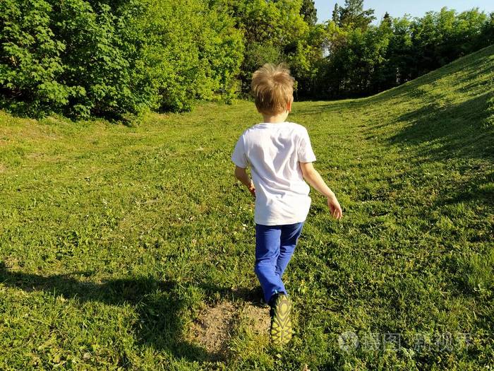 绿色的草坪或田野.修剪过的草坪.在森林里散步和玩耍.积极的体育活动.
