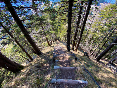 行走 活动 森林 阿尔卑斯山 岩石 自然 假期 环境 公园