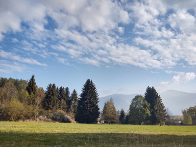 全景图 落下 小山 森林 夏天 环境 天空 季节 木材 旅行