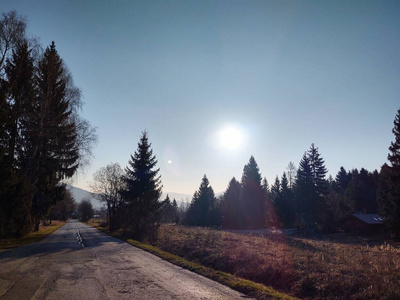 旅游业 环境 落下 蓝天 小山 自然 约塞米蒂 森林 风景