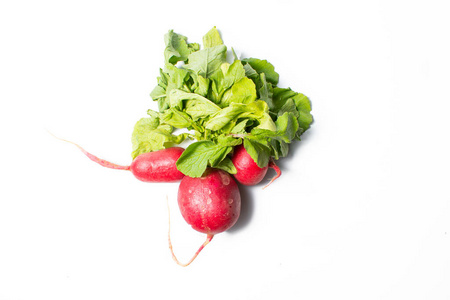 蔬菜 沙拉 农业 萝卜 饮食 素食主义者 植物 营养 小萝卜