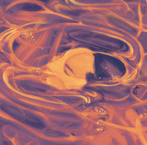 柔和的 素描 水彩 油漆 铅笔 创造力 游泳 复古的 美丽的