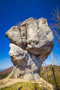 全景图 春天 岩石 环境 公园 斯洛伐克 小山 领域 山谷