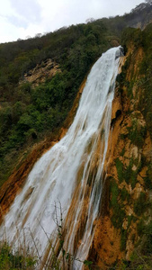 落下 森林 自然 公园 旅行 流动 美丽的 瀑布 岩石 风景