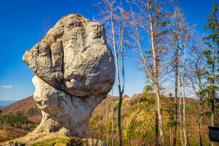 欧洲 乡村 环境 斯洛伐克 春天 假期 山谷 旅游业 小山