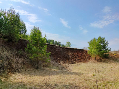 草地 农业 风景 农场 领域 植物 春天 土地 天空 夏天