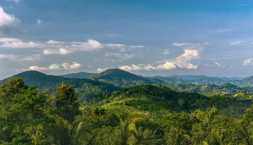 美女 天空 公园 植物 自然 美丽的 旅游业 小山 山谷