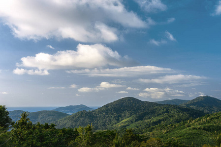 乡村 植物 公园 美女 旅游业 山谷 小山 美丽的 风景