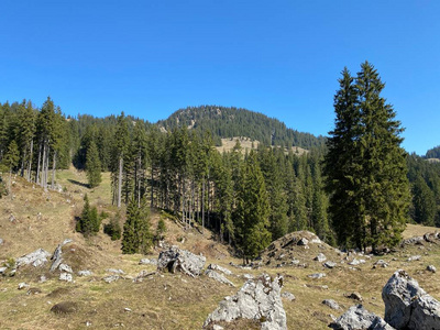 美丽的 乡村 冒险 岩石 农场 自然 仙境 森林 草地 欧洲