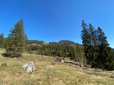 美丽的 山谷 风景 旅行 公园 瑞士人 全景图 欧洲 徒步旅行