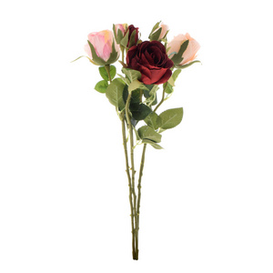 玫瑰 树叶 美女 塑料 优雅 花束 花的 花瓣 植物 颜色