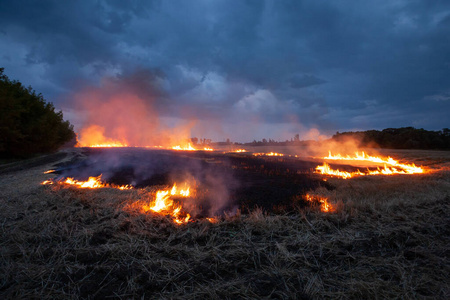 破坏 农田 危险 威胁 火焰 农业 农场 乡村 燃烧 生态学