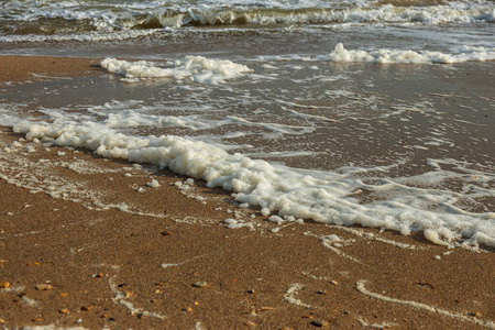 透明的 海滩 沿海 旅行 海洋 海岸线 热的 海的 阳光