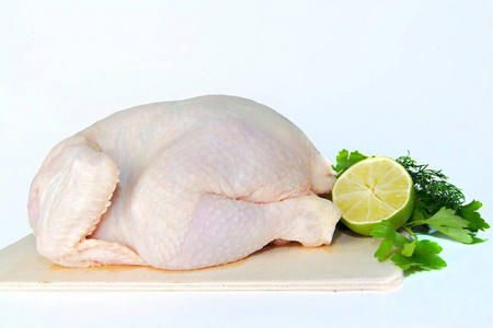 晚餐 烹调 烹饪 生的 动物 火鸡 营养 皮肤 肉鸡 母鸡