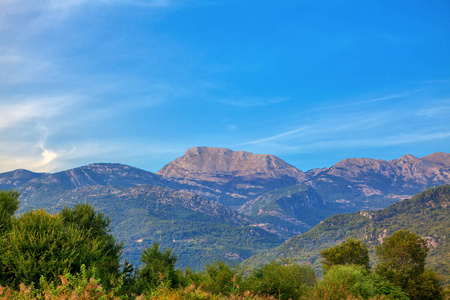 环境 下坡 公园 全景图 夏天 全景 阿尔卑斯山 国家的