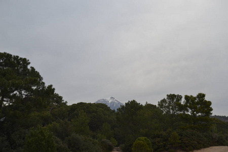 美女 环境 森林 橡树 公园 树叶 乡村 太阳 草地 天空