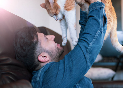 繁殖 甜的 男人 猫科动物 照顾 美丽的 肖像 白种人 呼噜声