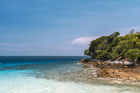 海岸 热带 假期 植物 风景 海湾 地平线 海滩 海岸线