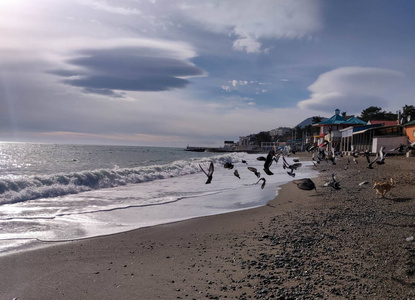 风景 海洋 天空 海滩 旅行 旅游业 假期 假日 自然 海滨