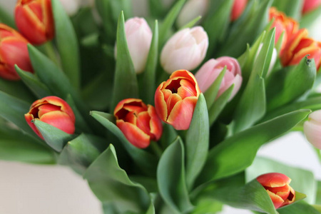 复活节 粉红色 美丽的 开花 餐厅 花的 自然 春天 植物