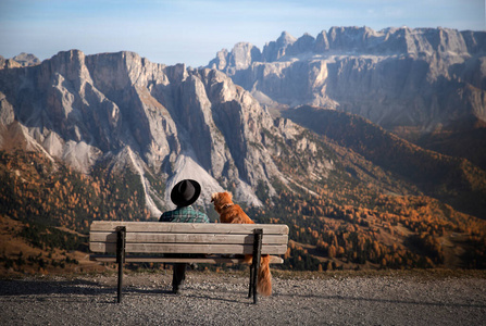 a man with a dog sitting on a bench and looking at the mountains