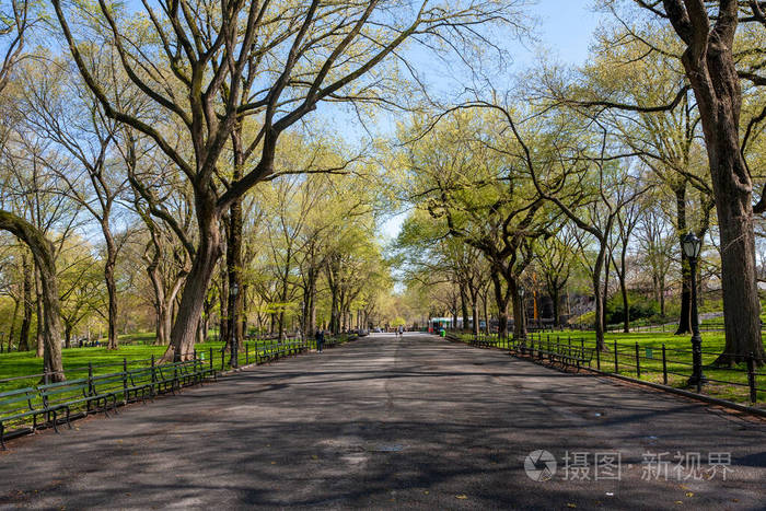 纽约市 春天 季节 美国 曼哈顿 假期 阳光 步行 公园