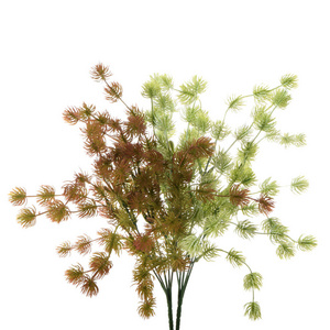 植物 颜色 花的 花束 美女 优雅 塑料 分支 植物区系