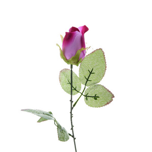 树叶 花束 塑料 颜色 花的 玫瑰 优雅 花瓣 植物 美女