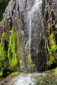 自然 阿扎拉 旅行 落下 高加索 苔藓 春天 岩石 流动的