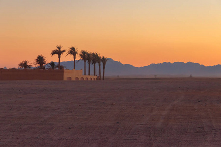 阳光 游猎 美丽的 温暖的 自然 自由 沙漠 太阳 埃及