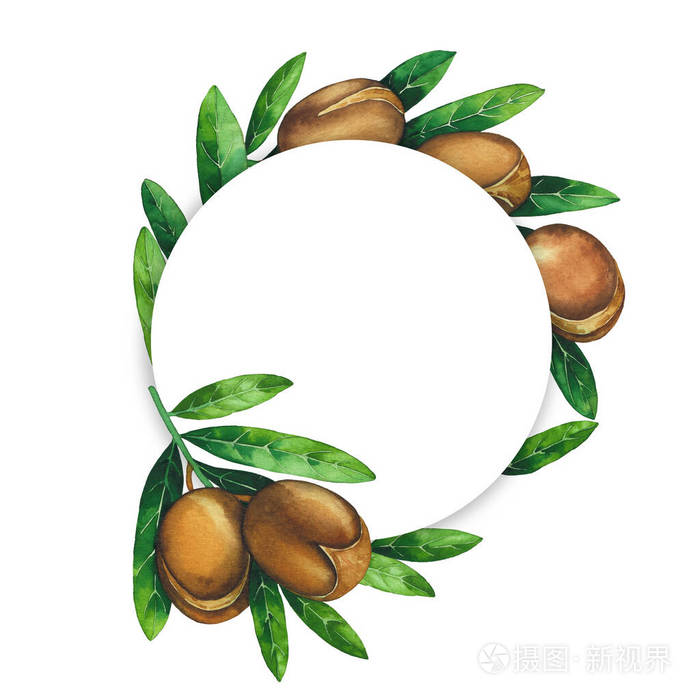 圆形周围有水彩画的阿甘植物
