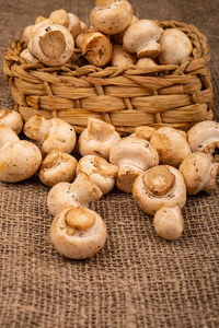 美食家 帽子 营养 美味的 市场 真菌 蘑菇 晚餐 食物