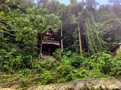 布吉拉旺国家公园森林小屋